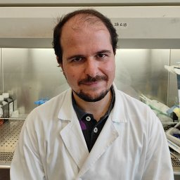 Francesco Ciccarese