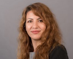 Salimeh Yasaei Sekeh