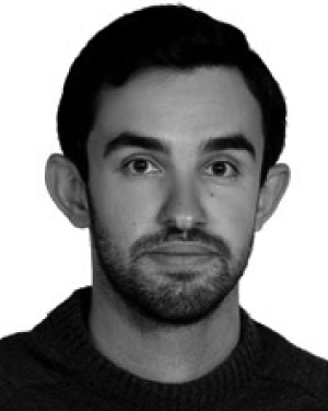 Mohammad H. Amerimehr