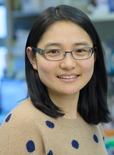 Jie Sun