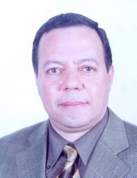 Mohamed M. M. Abd El-Wahab