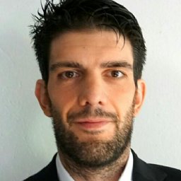 Manuel J. L. F. Rodrigues