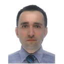 D. M. Bykov