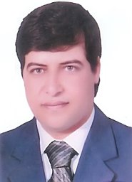 Shaker H. El-Sappagh