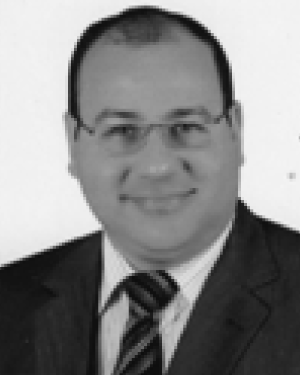Hany Mahgoub