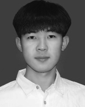 Chunyu Lv