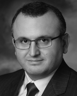 Huseyin S Savci