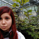Romane Tisserand
