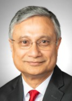 M. Saiful Huq