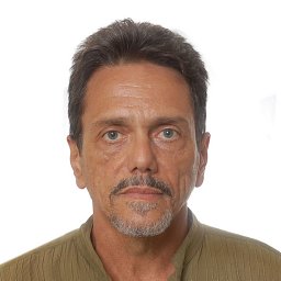Emerson Andrade Sales