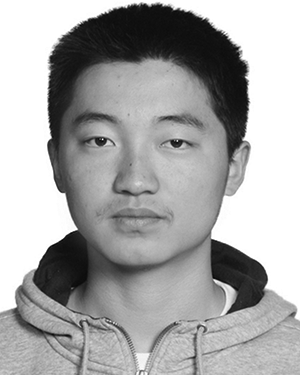Qingrong Chen
