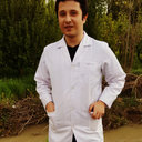 Aidin Shafipour Yordshahi