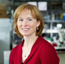 Karen M. Lounsbury
