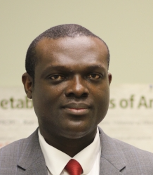 Vincent Israel Opoku Agyapong