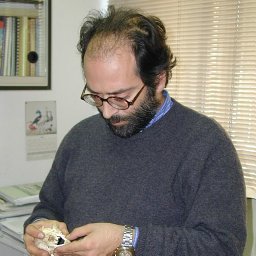 Agatino Maurizio Siracusa