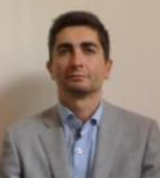 Marco Domaneschi
