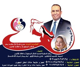 Alaa Ismail