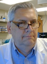 Brent K. Hoffmeister