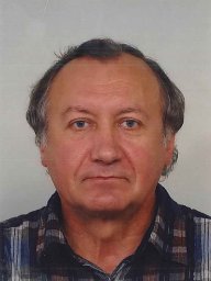 V. A. Malyshev
