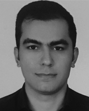 Mohammad Elmi