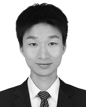 Leidi Shen