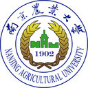 Xinchao Liu