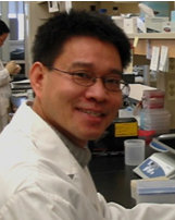 Tianqing Peng