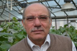 Rotino Giuseppe Leonardo