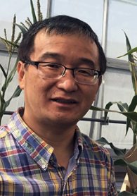 Bing Yang