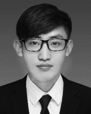 QiLu Ding