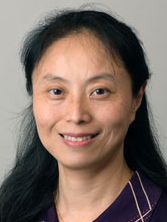 Danzhou Yang