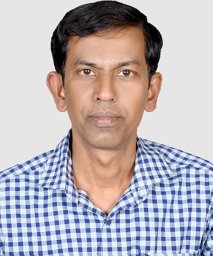 Parthasarathi Bera