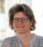 Marij J P Welters