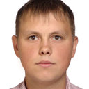 D. G. Fedoseev