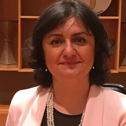 Meral Kayikcioglu
