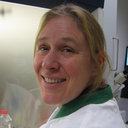 Yvonne M Zoet