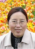 Meigui Yi
