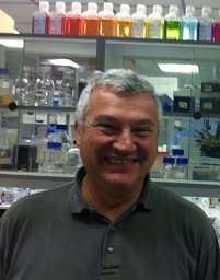 Pierre Falson