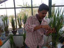 Srijan Ambati