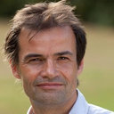 Andy Gibson