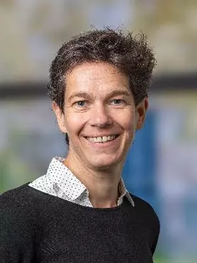 N. (Neelke) Doorn