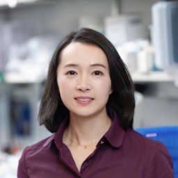 Jiang Hui