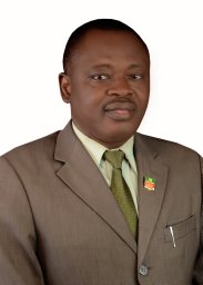 Olumide O. Ige