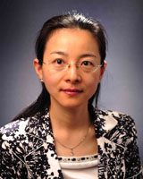 Yongmei Li