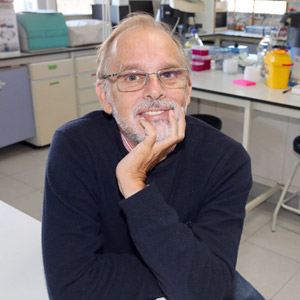 Antonio Figueras