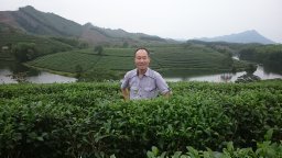 Vinh Hung Tran