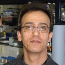 Jafar Mahdavi
