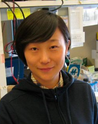 Fei Xiong
