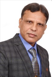 Chandra R Bhat