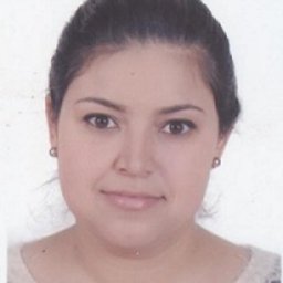 Sameh Saadi